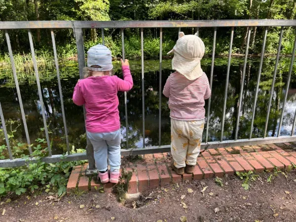 Der Teich im Park muss natürlich auch begutachtet werden
